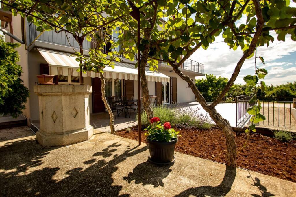 Herak - Smoljan Rovinj Exterior photo